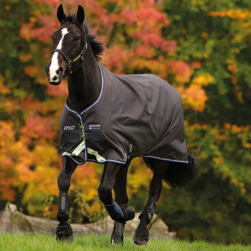 Horseware Amigo Bravo 12 100g Turnout Rug - Excalibur/Strong Blue/Black